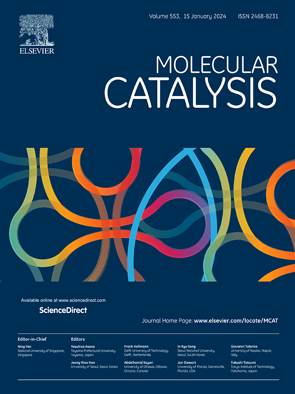 Go to journal home page - Molecular Catalysis